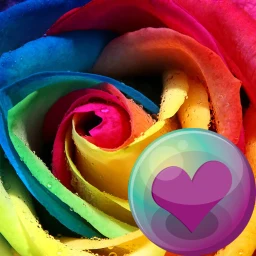 Symbol von Beautiful Roses HD Wallpapers